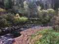 River, Kielder Water, Northumberland